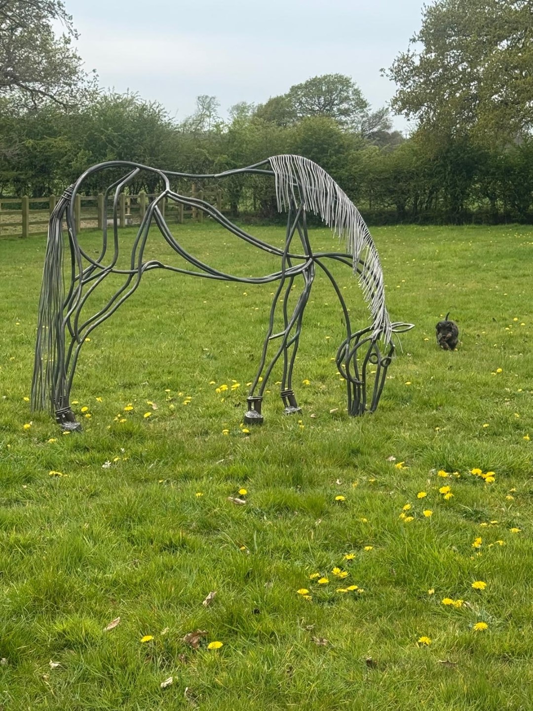 Allan poxton horse sculptures 13 (Large)